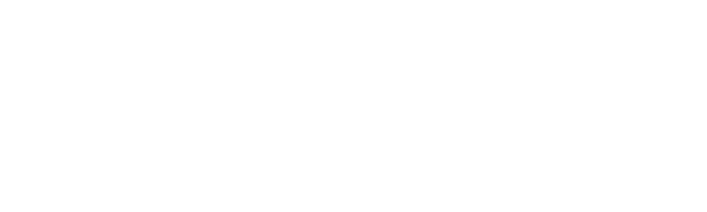 Дигитална агенция NestSEO лого